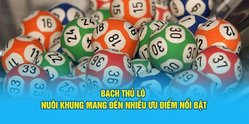 Bạch thủ nuôi này mang đến nhiều ưu điểm nổi bật