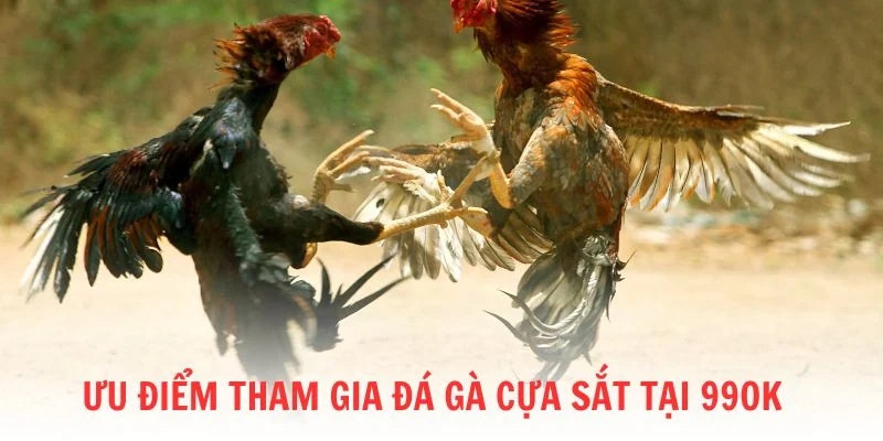 Ưu điểm của tham gia cá cược đá gà cựa sắt tại 99OK