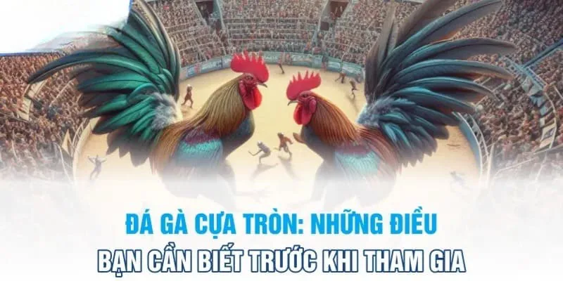 Luật chơi đá gà cựa tròn đơn giản